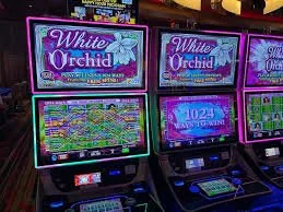 zxc777 Desert Diamond Slots on zxc777